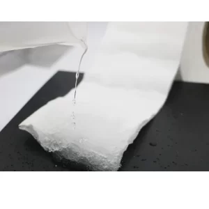 SAP Paper